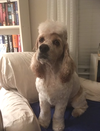 Charlie - Photo 2