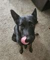 Zeus - Photo 2
