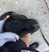 Zeus - Photo 4