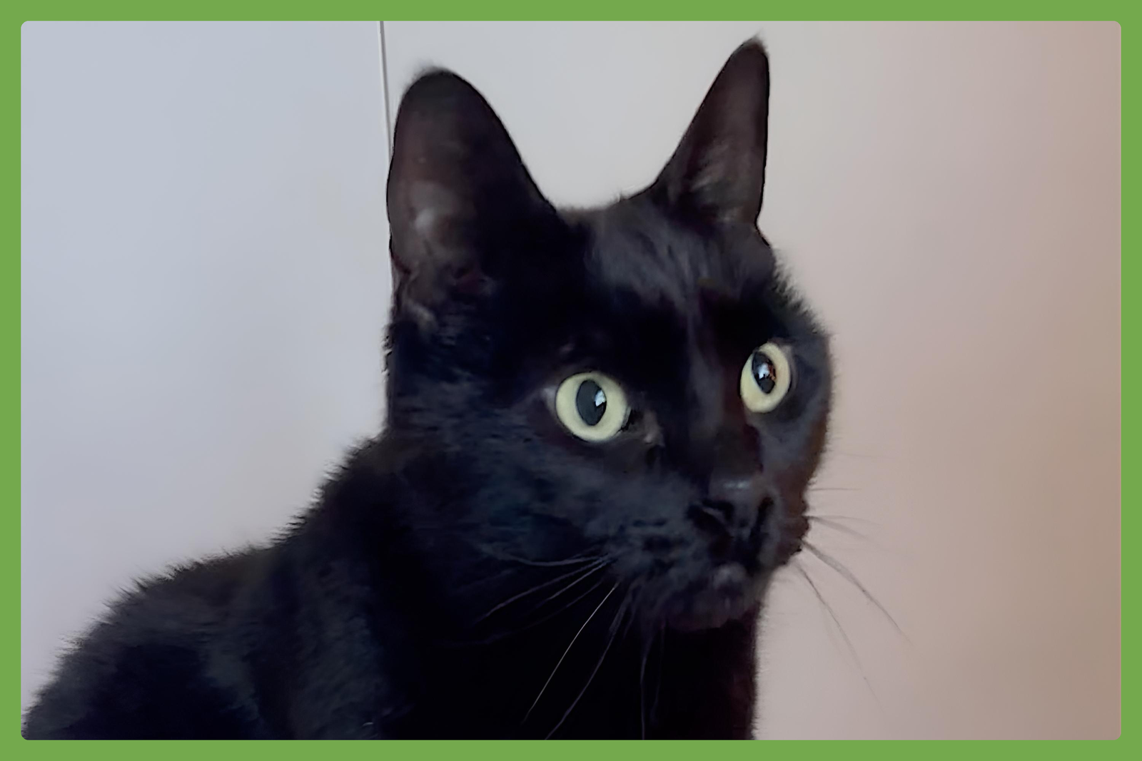 Sawyer Image