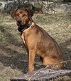 Beau Duke - Photo 2
