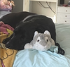 TruBear - Photo 3