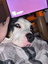 Diesel - Photo 8