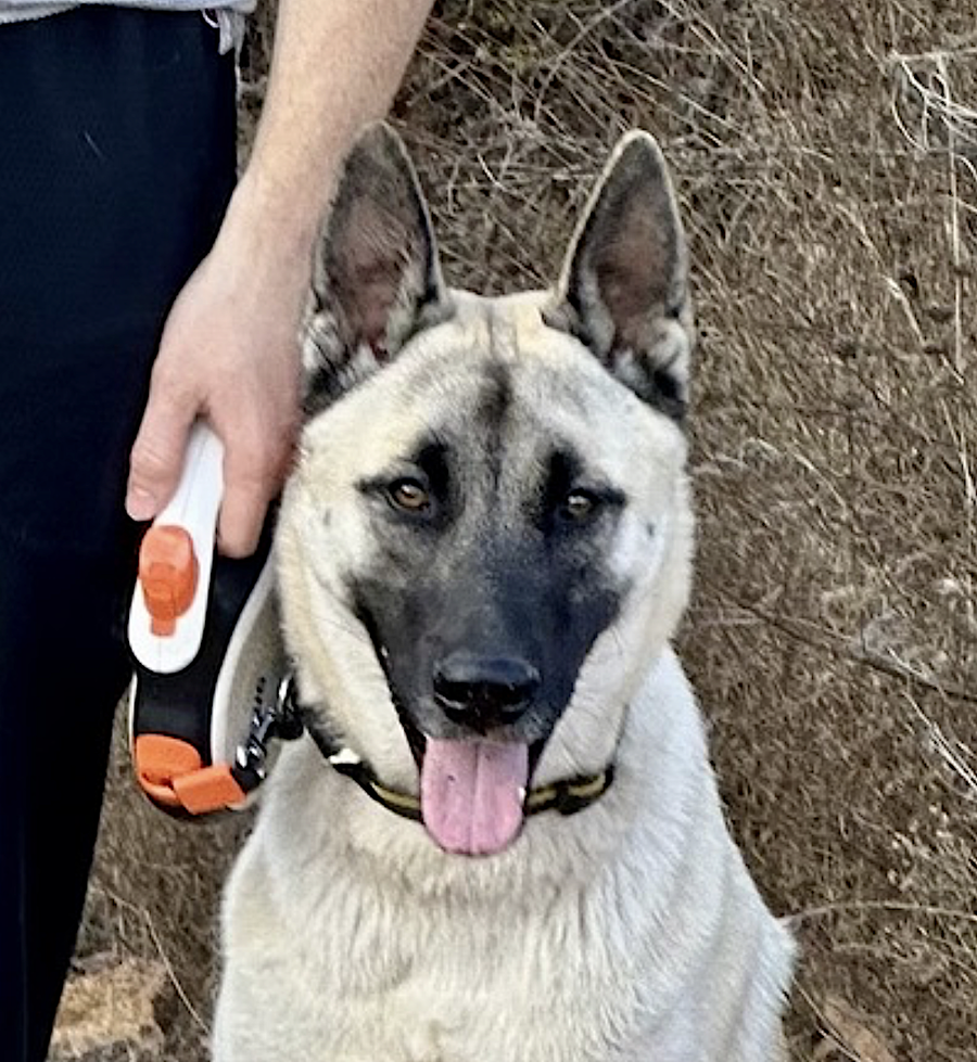 Titus