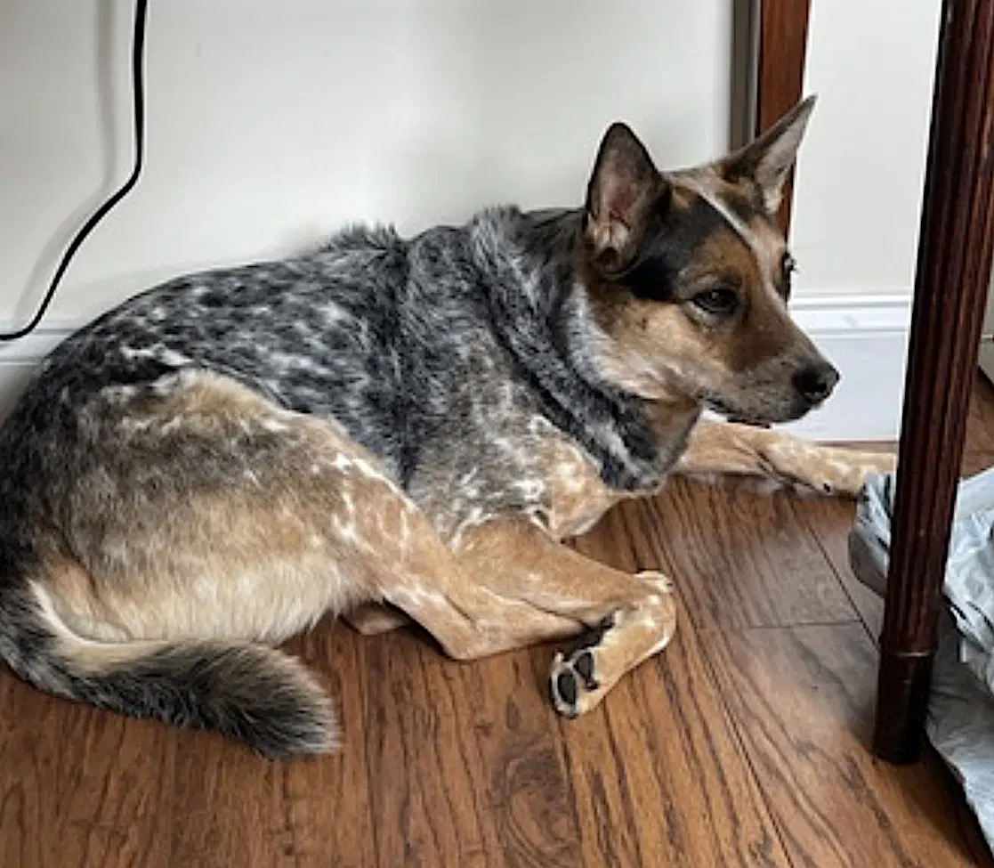 Zoe image 4
