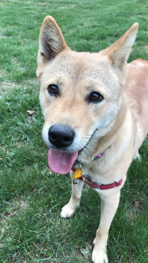 Moxie, photo 4