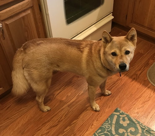 Moxie, photo 9