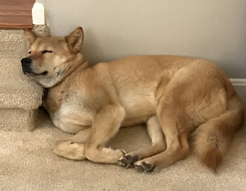 Moxie, photo 10
