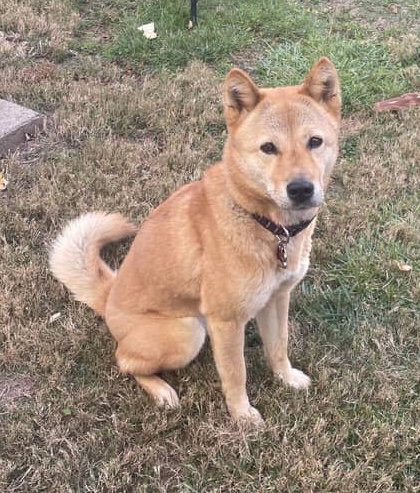 Moxie, photo 11