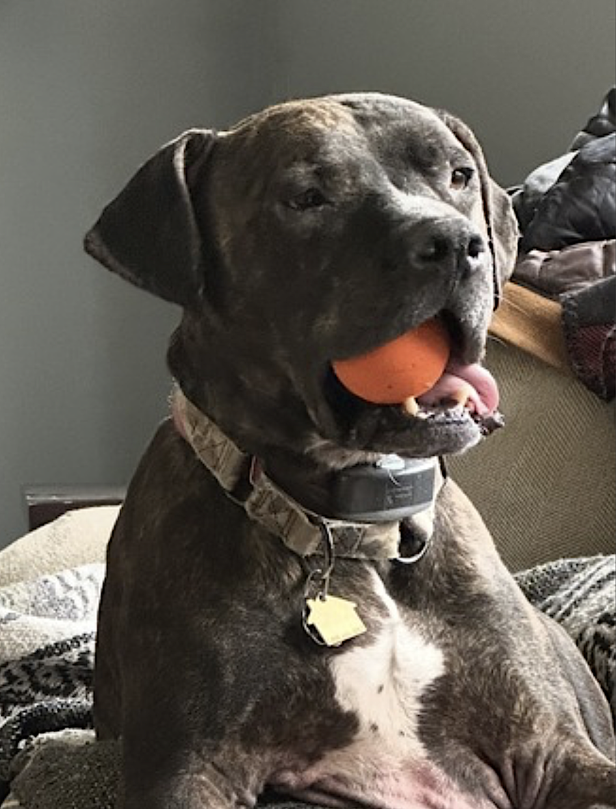 Cooper