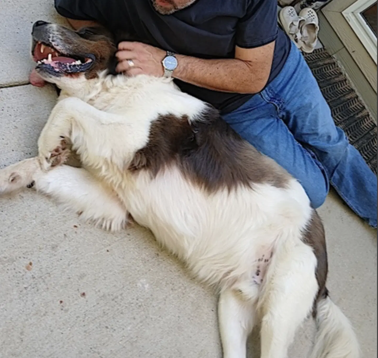 George image 3