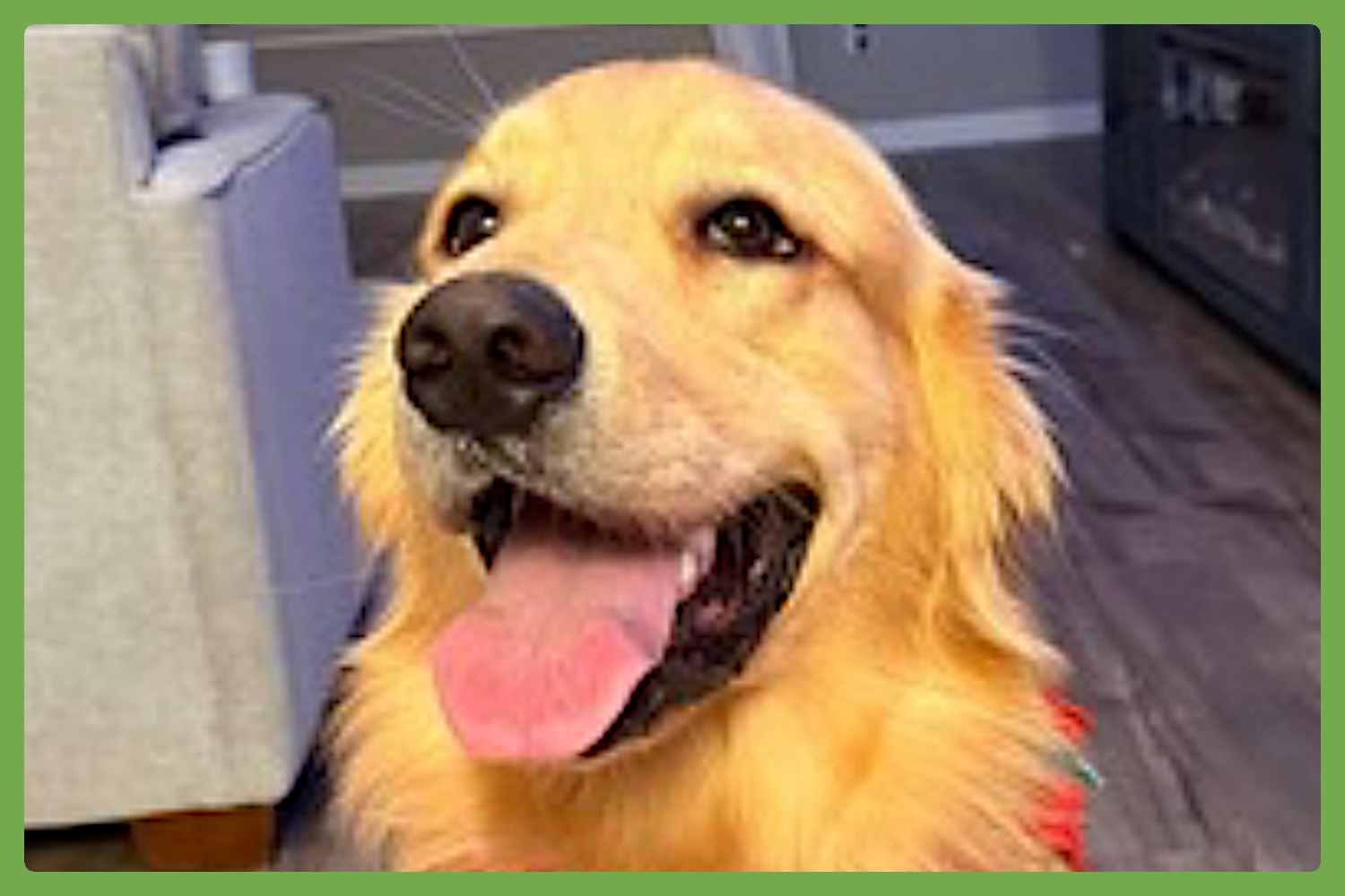Charlie Image