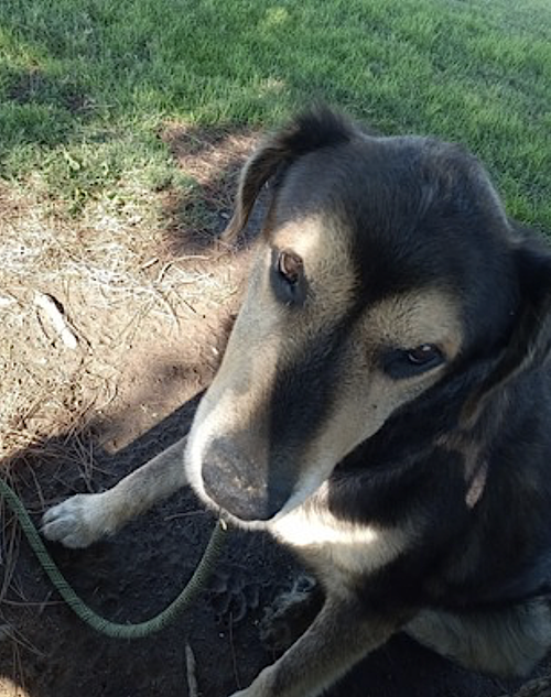 Chance, photo 8