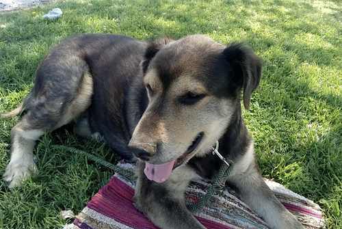 Chance, photo 7