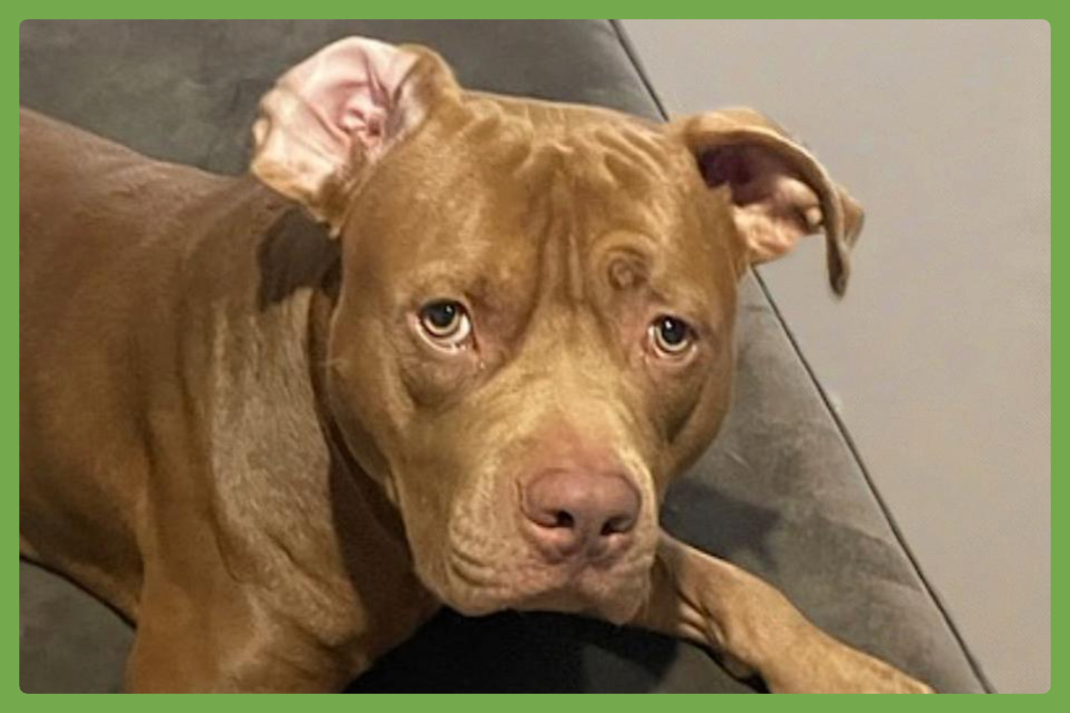 Tucker Image