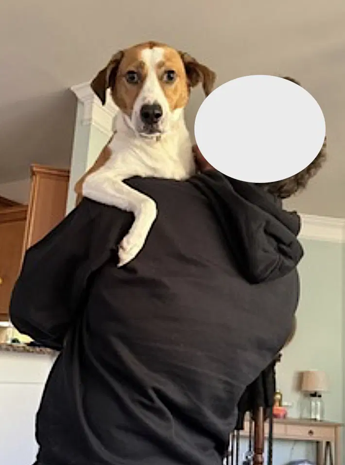 Gracie Mae image 3