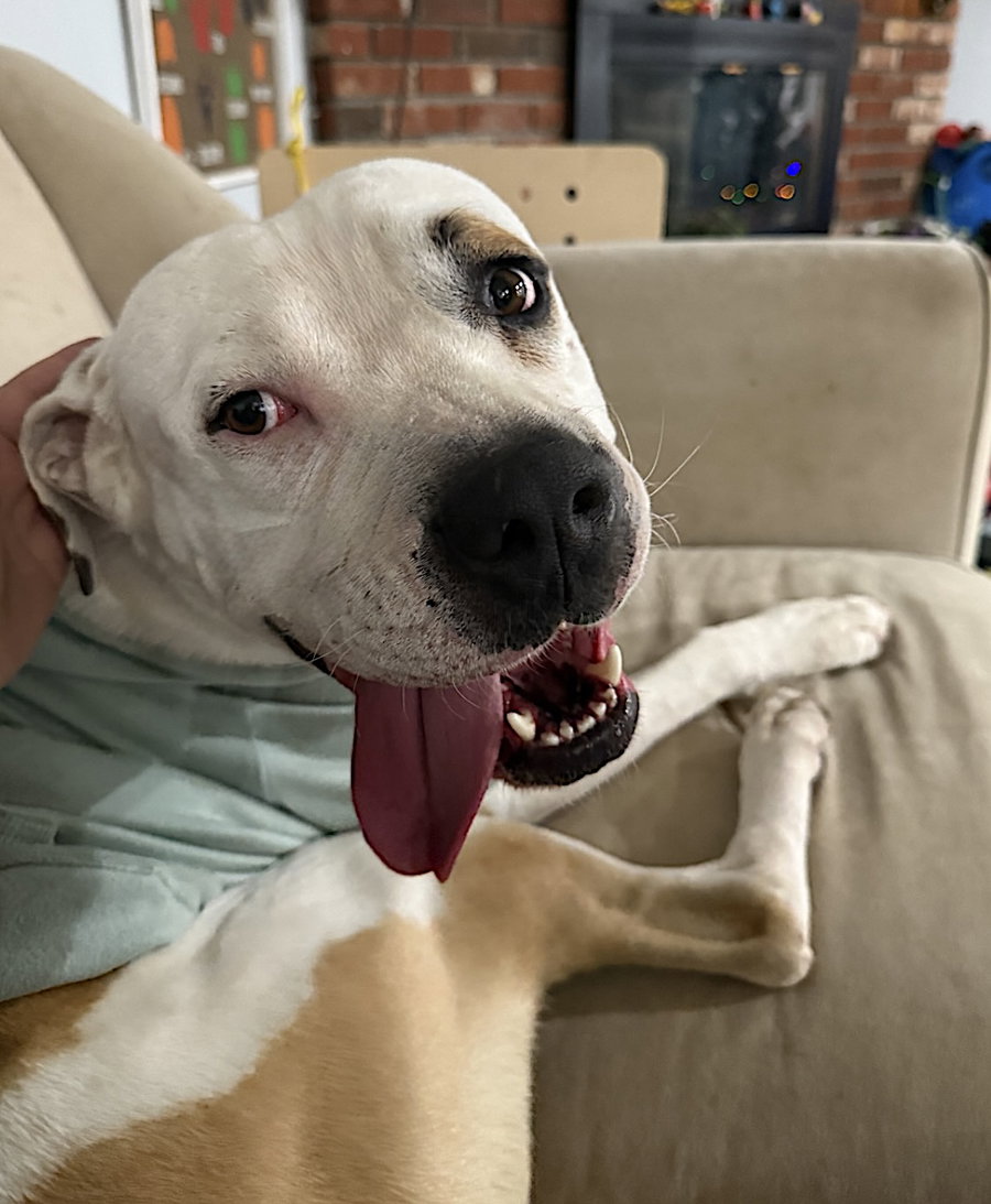 Theodore