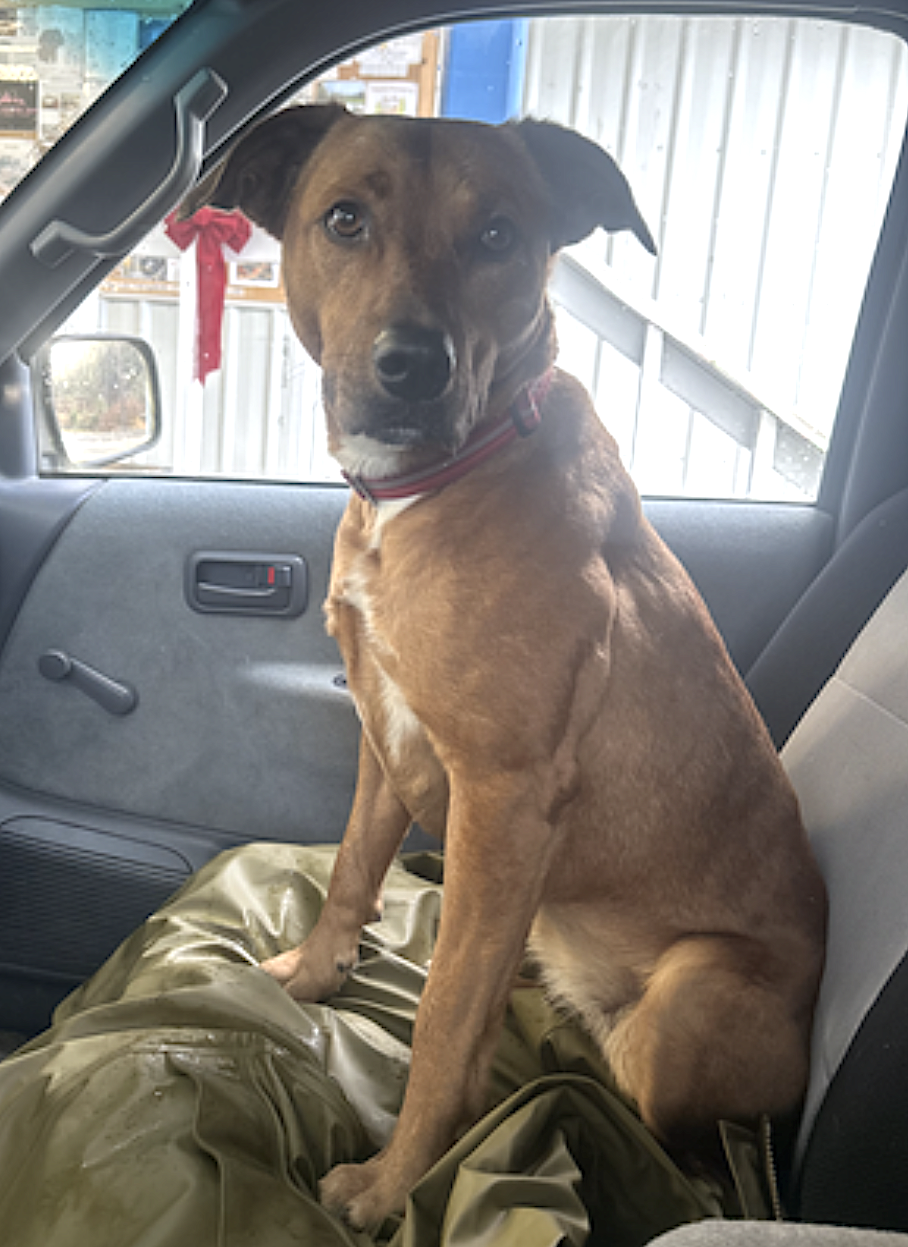 Mila, photo 9