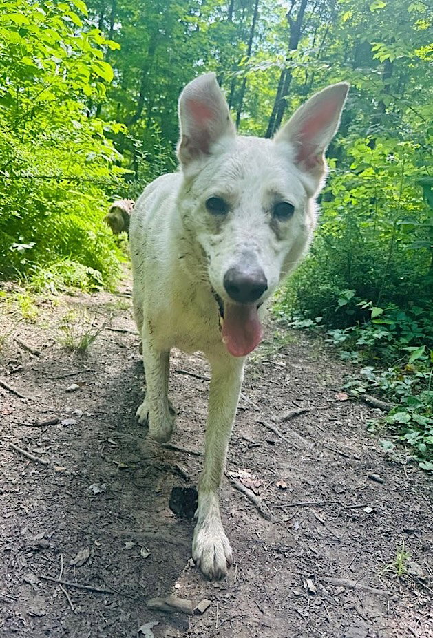 Ernest, photo 9