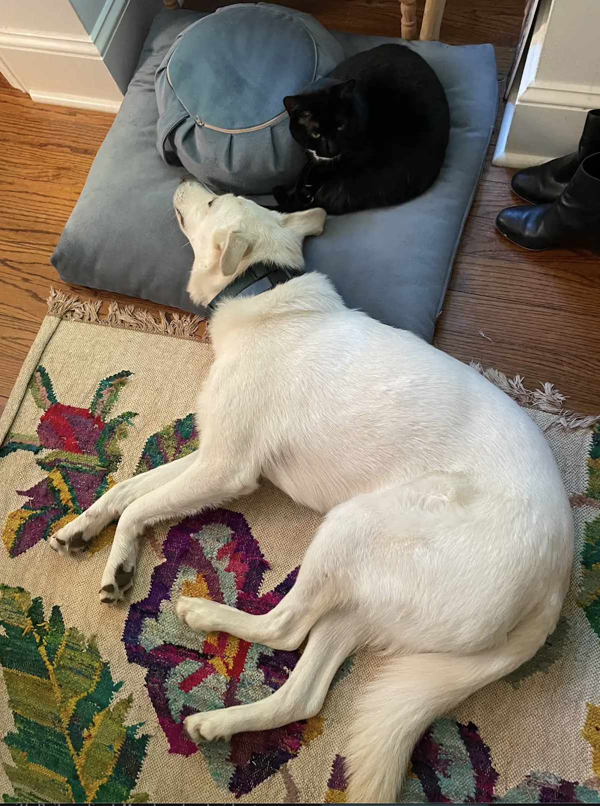 Ernest, photo 11