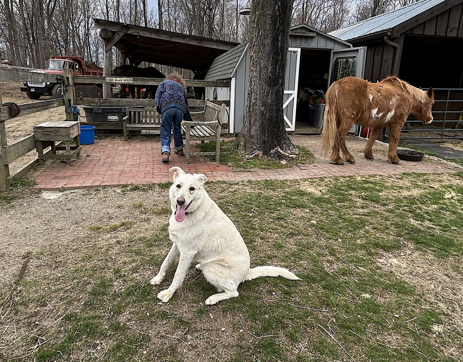 Ernest, photo 12