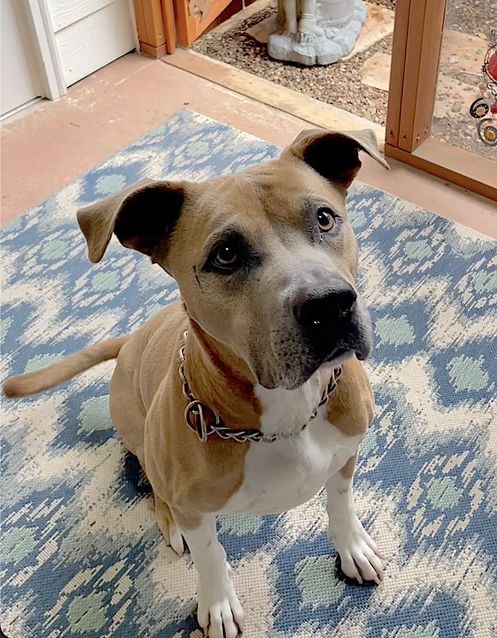 Murphy image 3