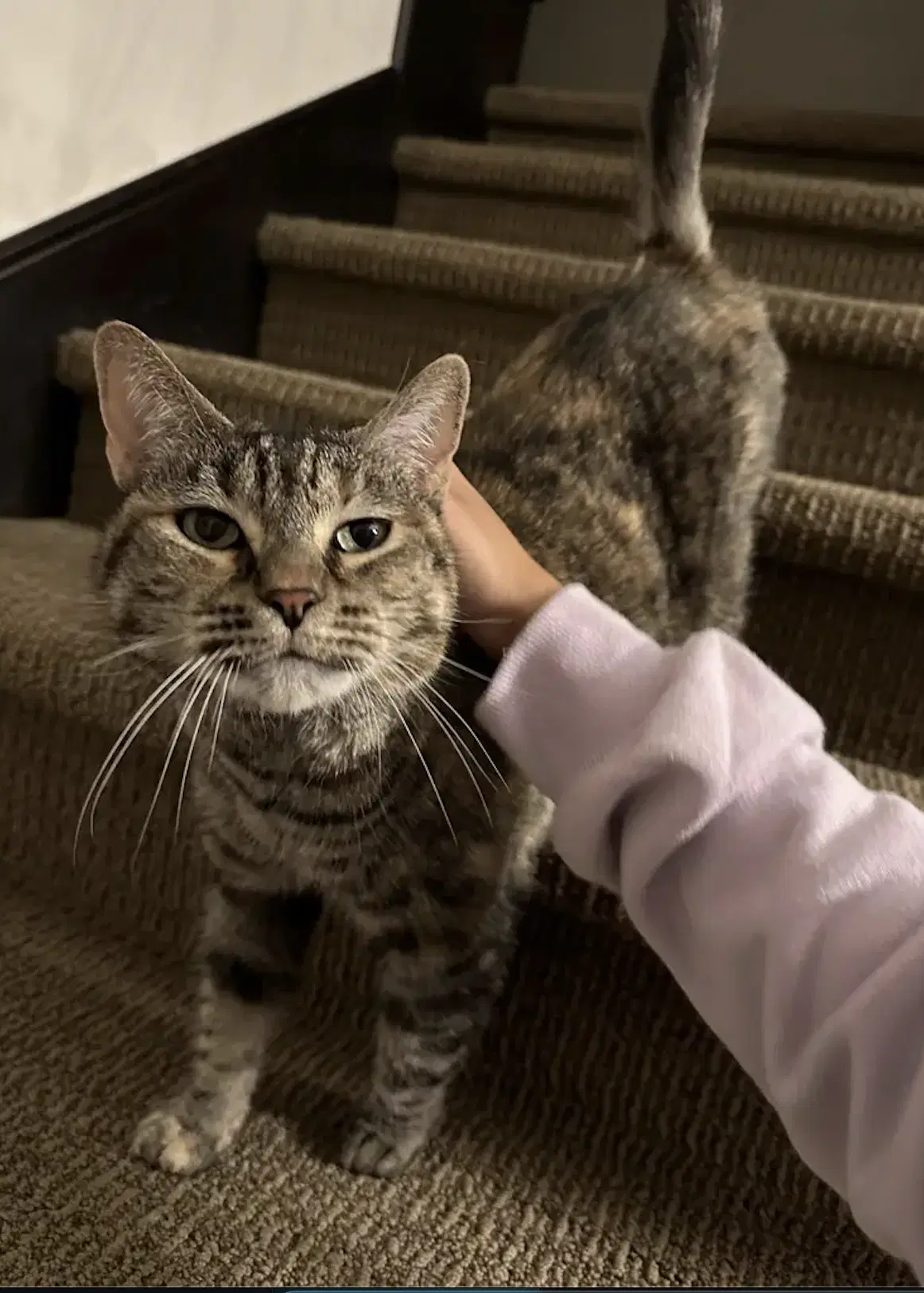 Mimi image 2