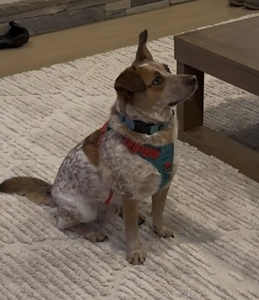 Tex image 4
