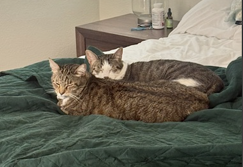 Photo 5 of Daisy and Duke
