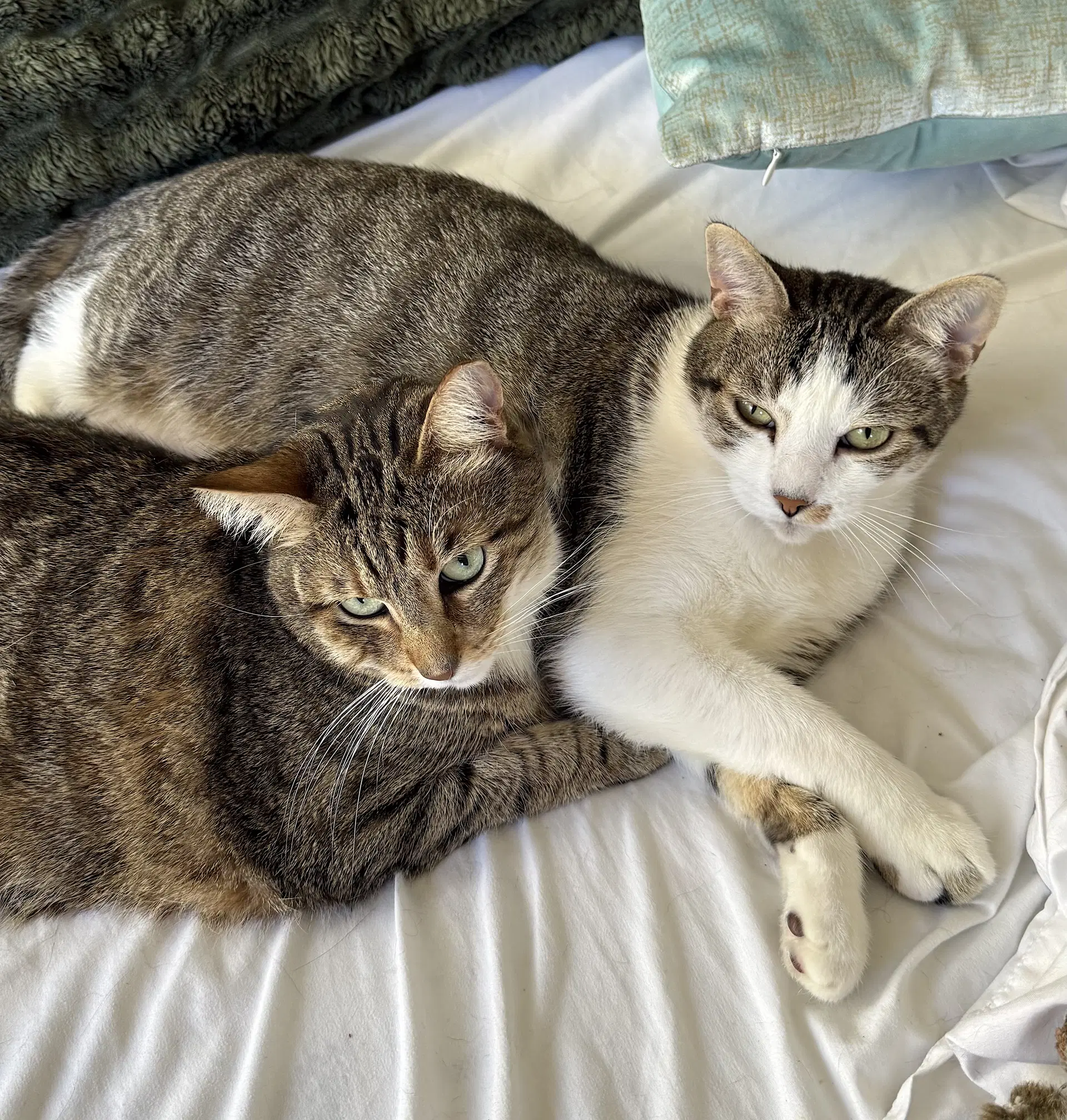 Daisy And Duke image 4