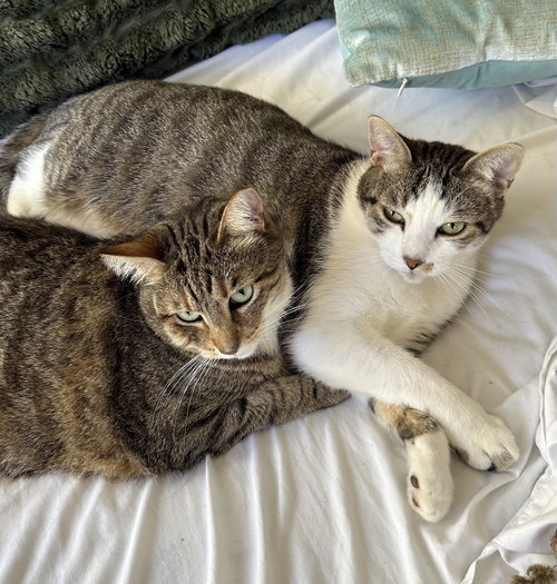 Photo 4 of Daisy and Duke