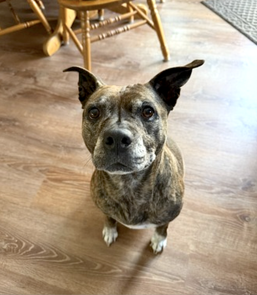 Sophie, photo 7