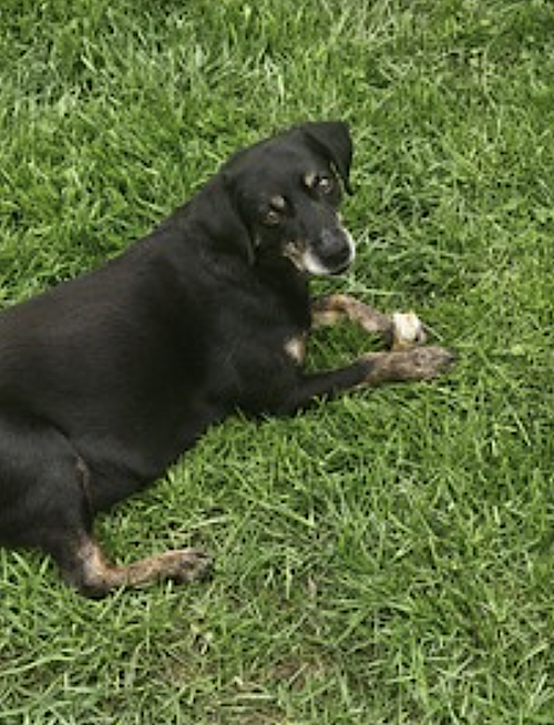 Raiya, photo 2