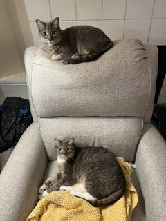 Photo 4 of Veruca and Violet