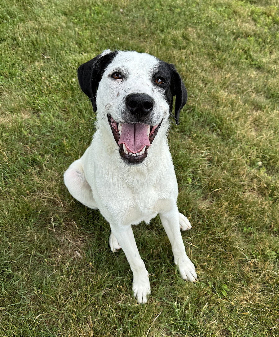 Bella