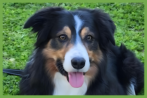 Darby