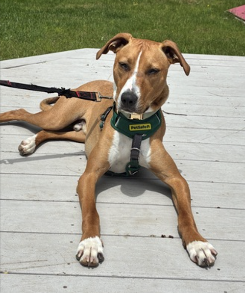 Photo 6 of Humphrey