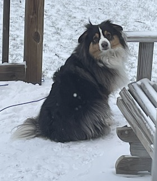 Nova, photo 8