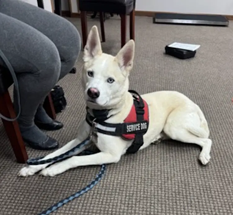 Buddy image 3
