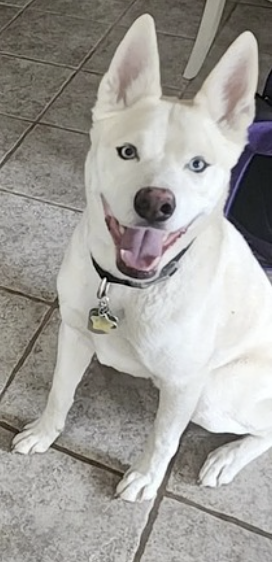 Buddy, photo 7