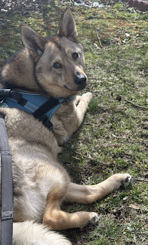 Juno, photo 6