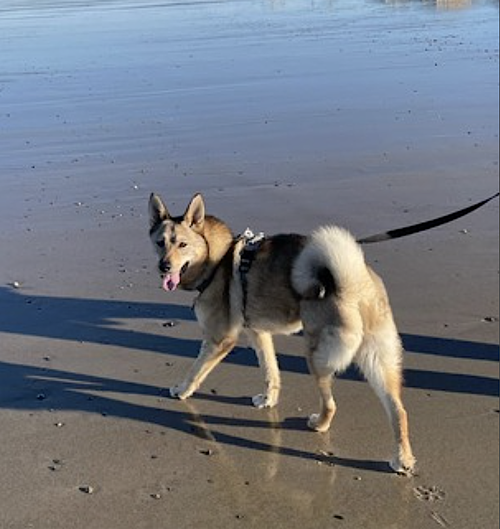 Juno, photo 7