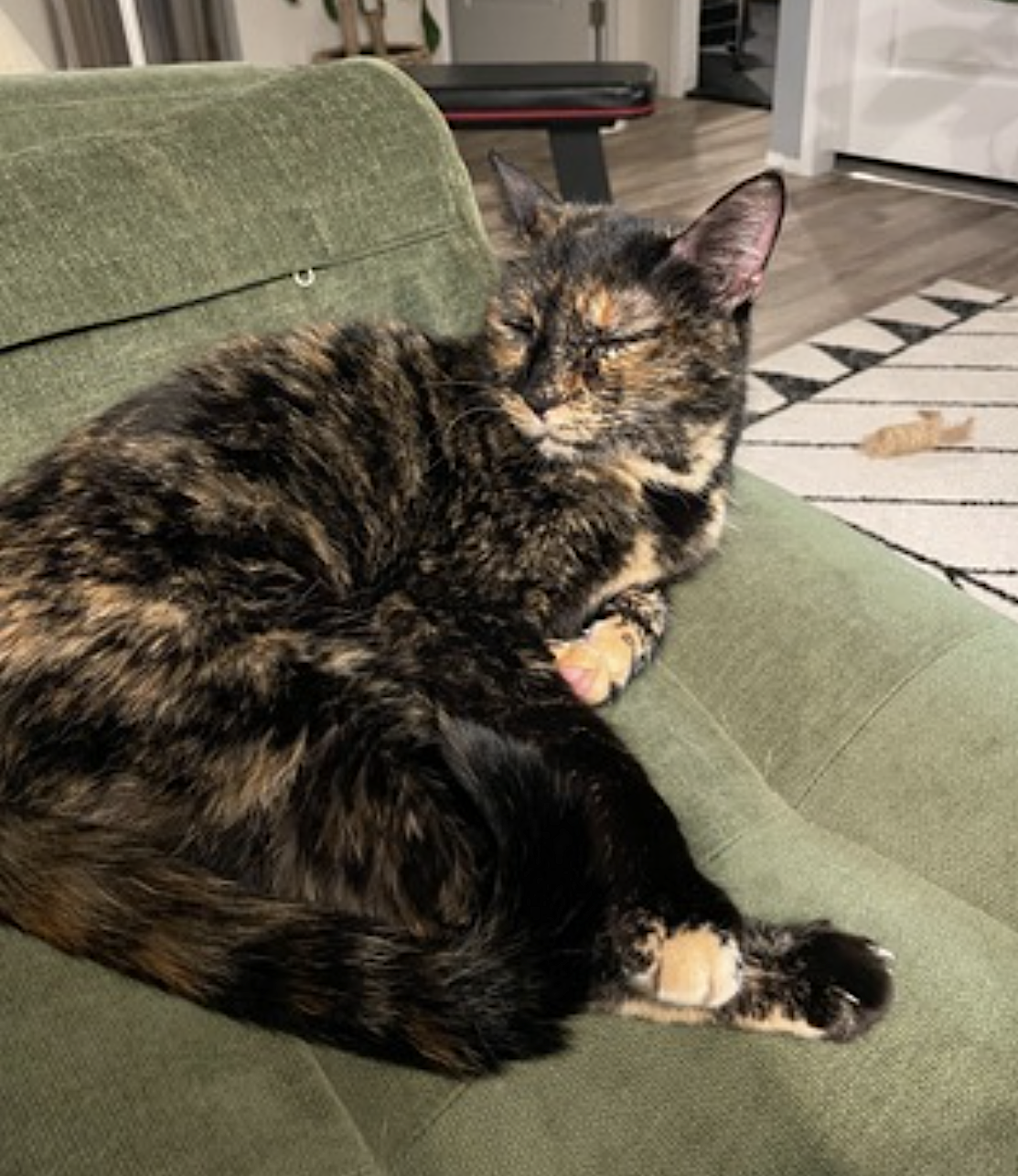 Adeline, photo 5