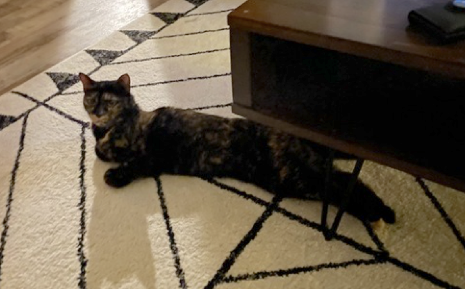 Adeline, photo 6