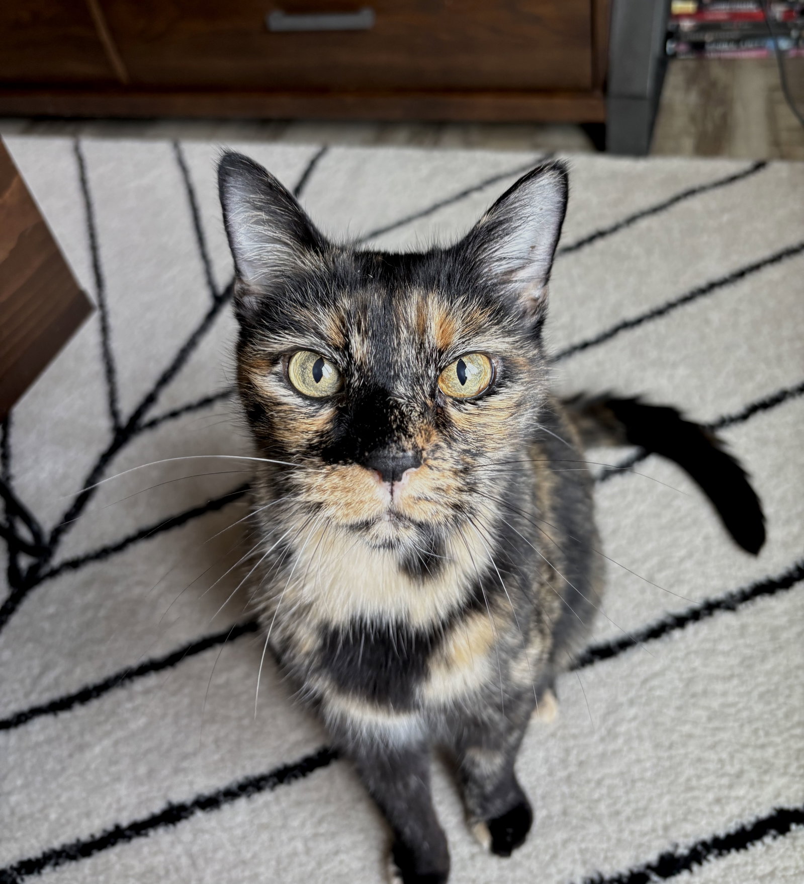 Adeline, photo 7