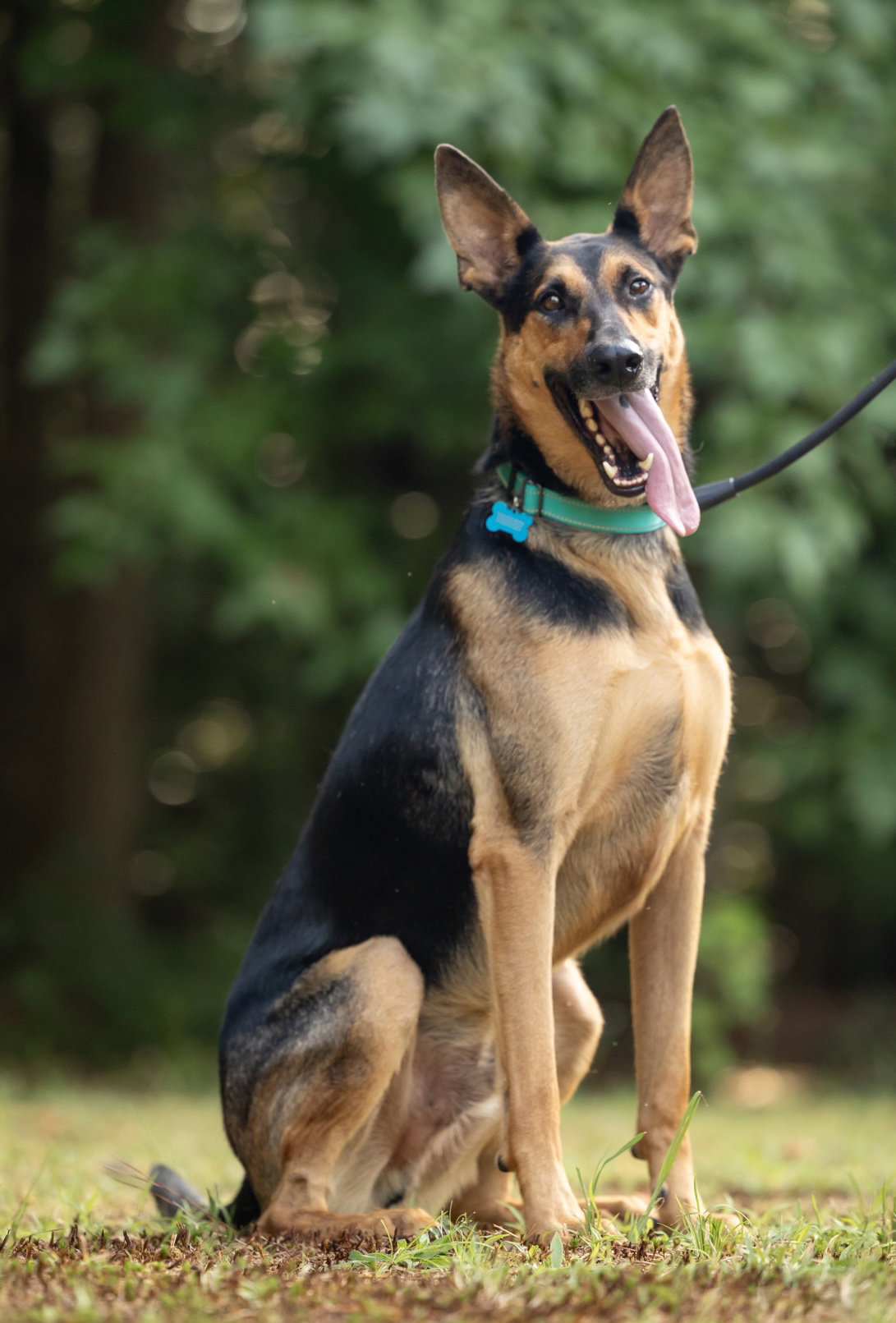 Berkley, photo 7