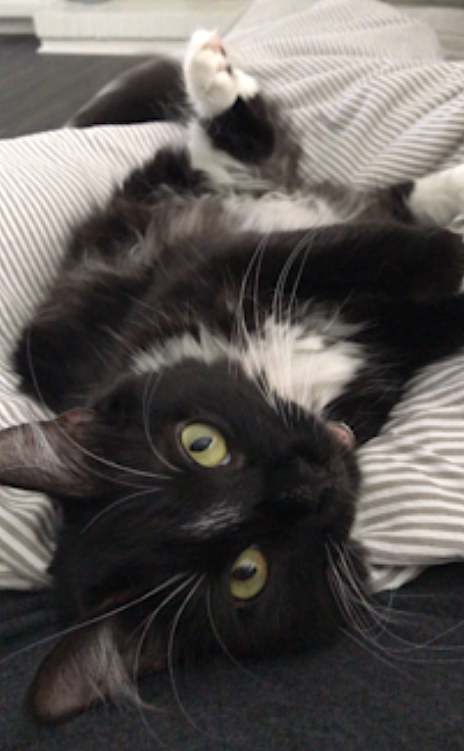 Momo, photo 3