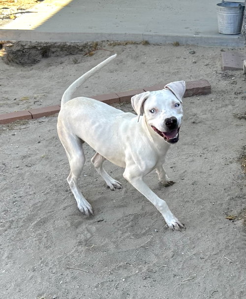 Photo 3 of LaCroix