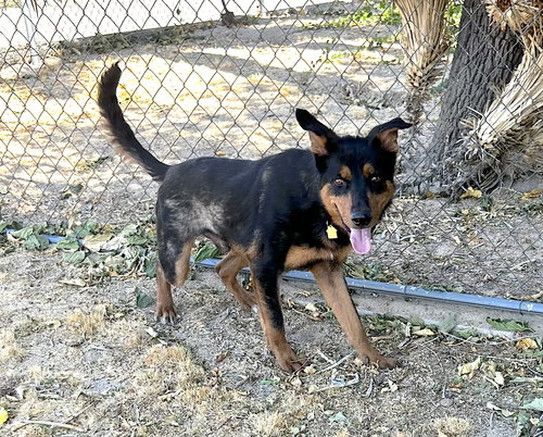 Photo 5 of Arlo
