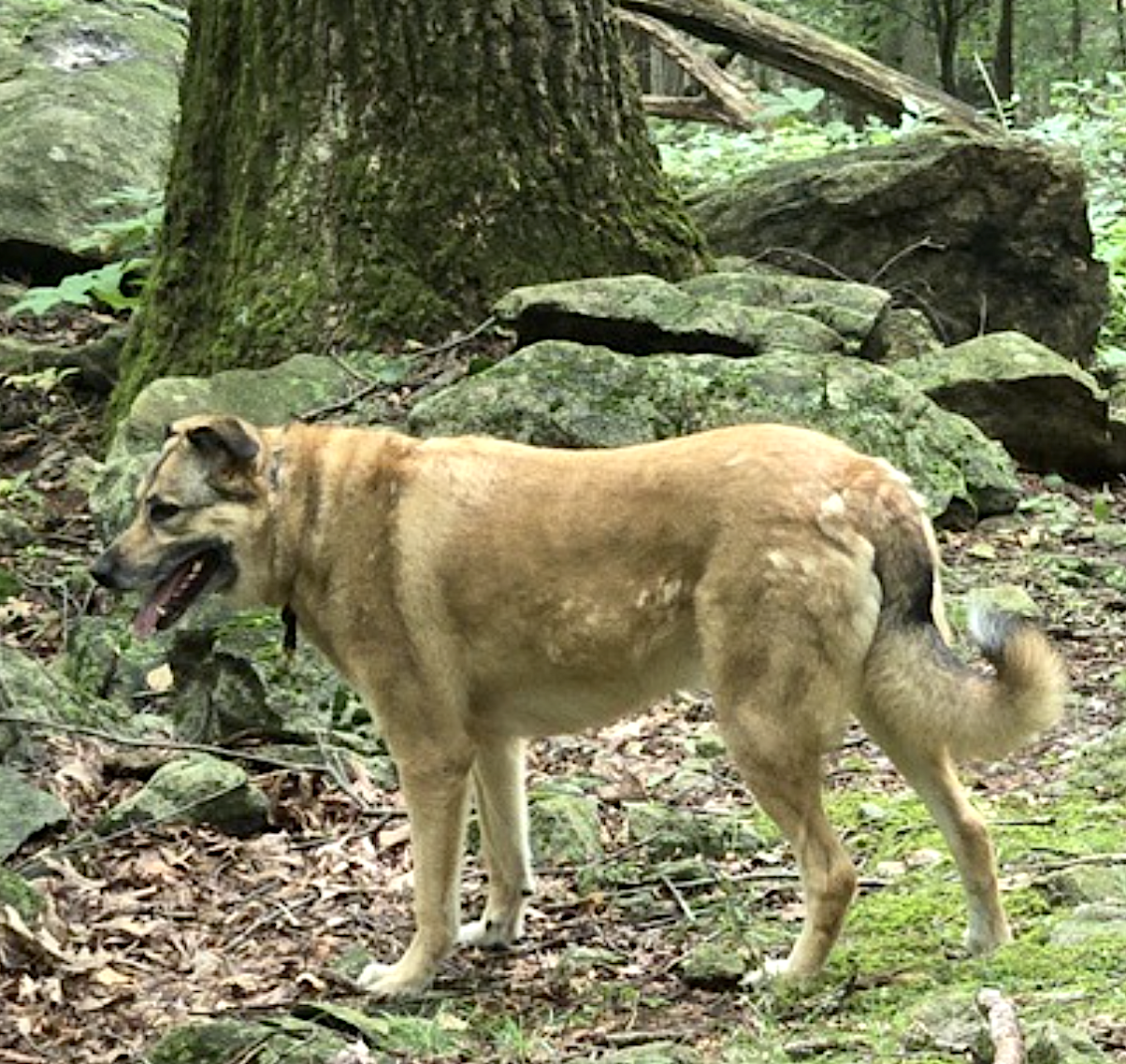 Freya and Luna, photo 12